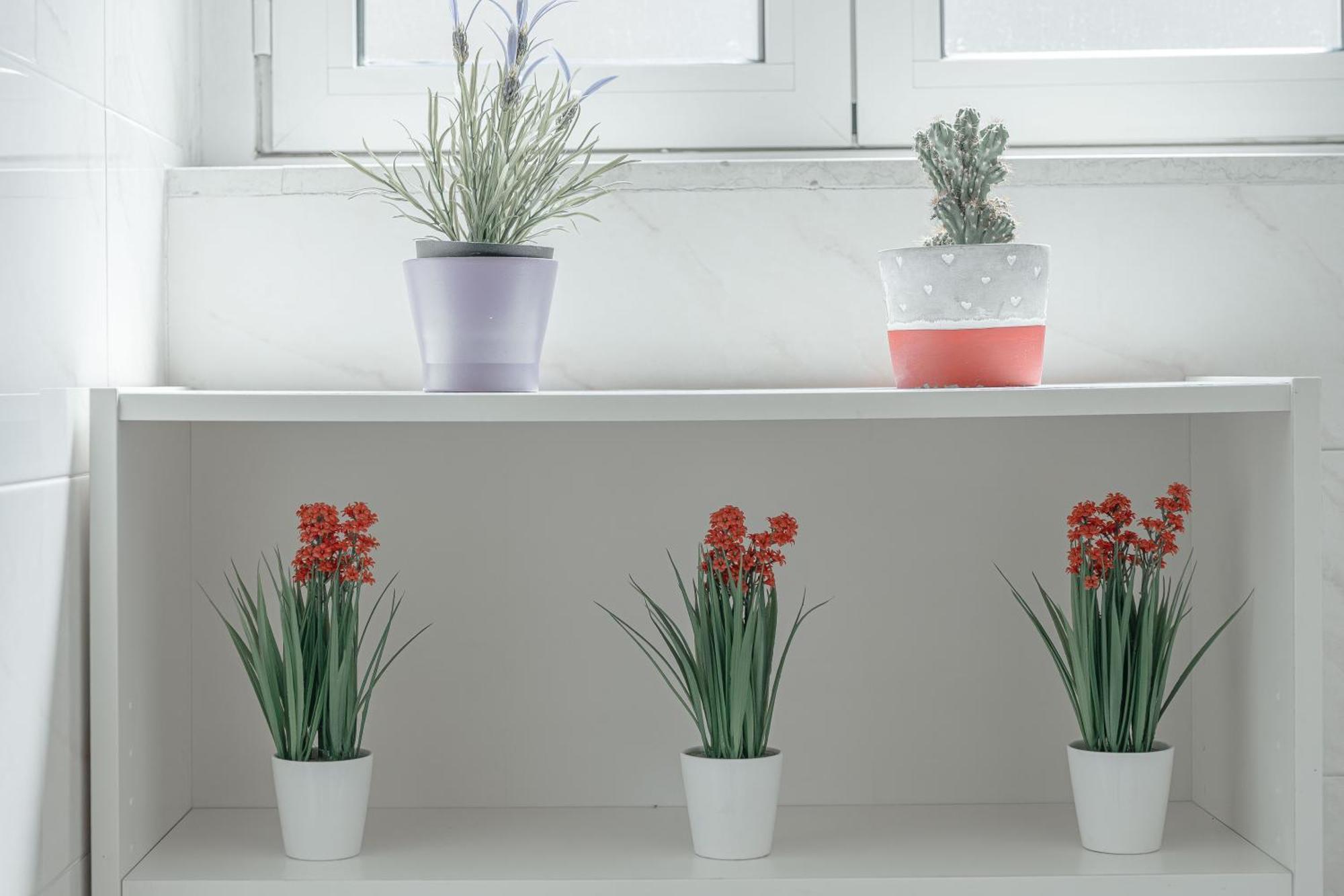 Solari New Apt Milano Ngoại thất bức ảnh